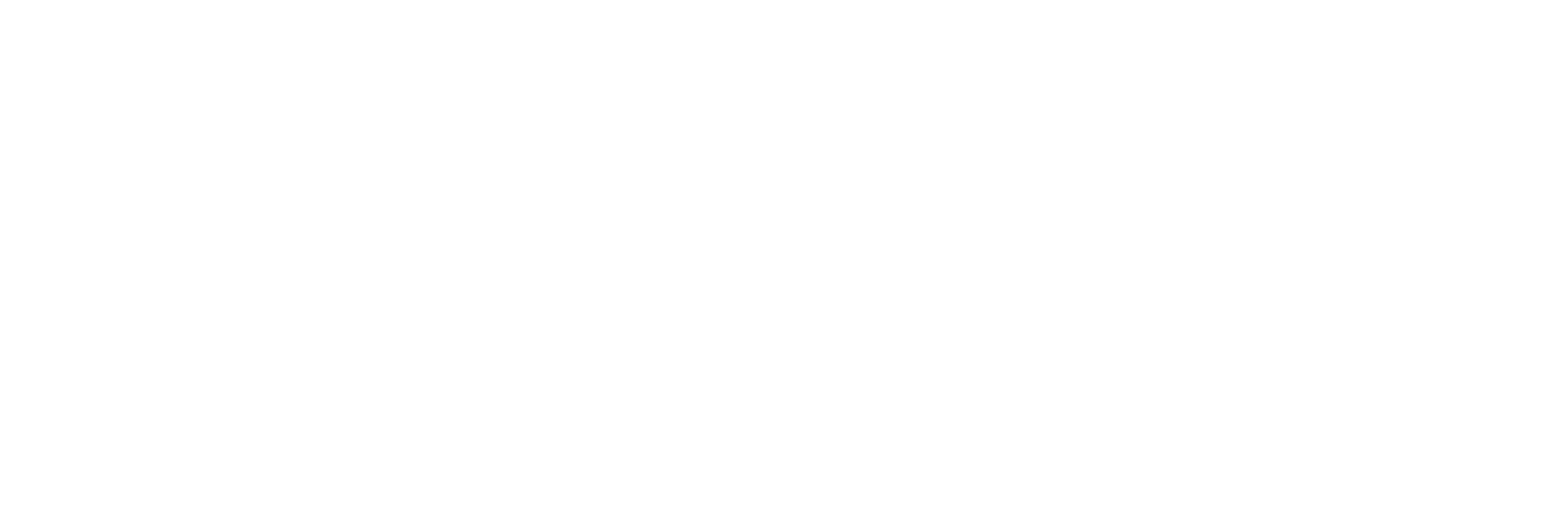 Blanco Logo Slovo Translate